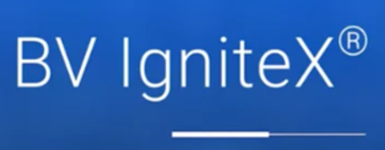 Black & Veatch IgniteX